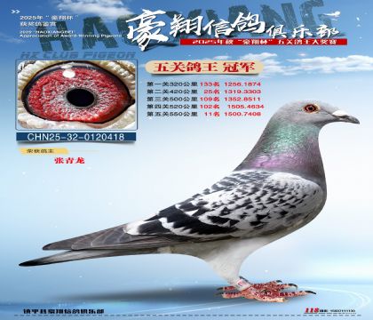 �����ھ�