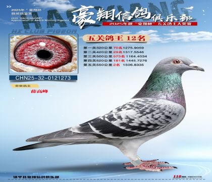 ����12��