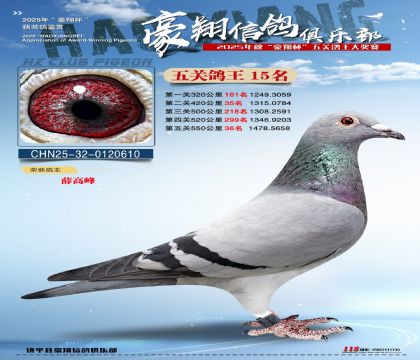 ����15��