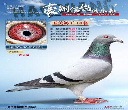 ����16��