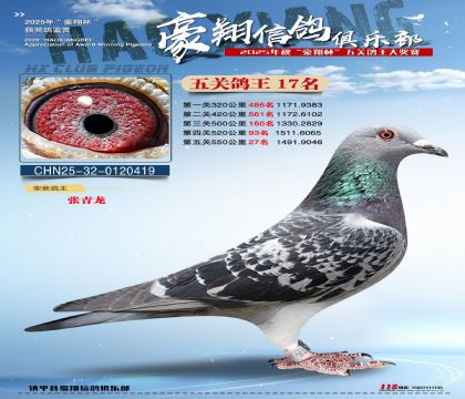 ����17��