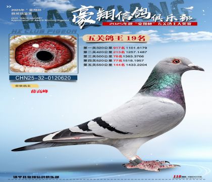 ����19��