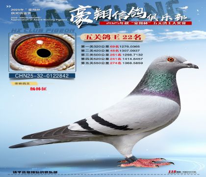 ����22��