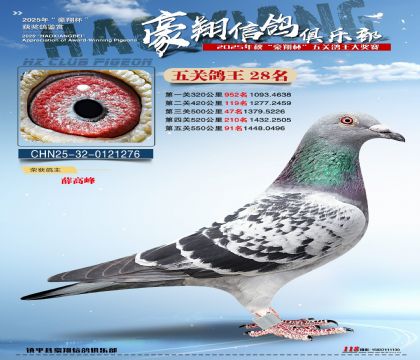 ����28��