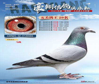 ����29��