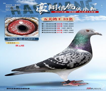 ����33��