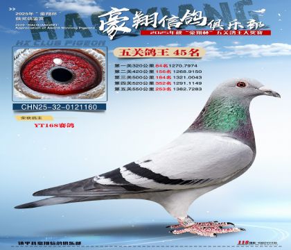 ����45��