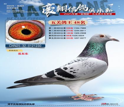 ����48��