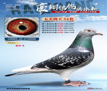 ����54��