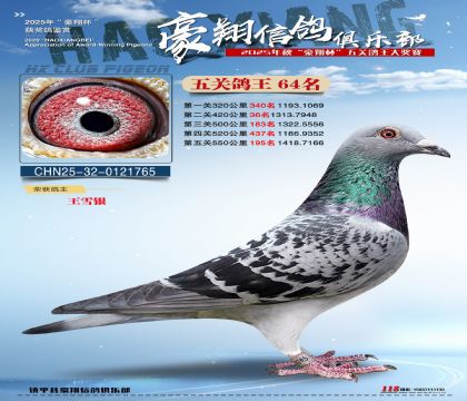 ����64��