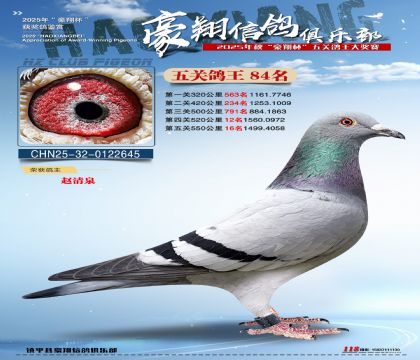 ����84��