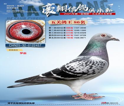 ����86��