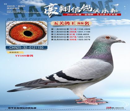 ����88��