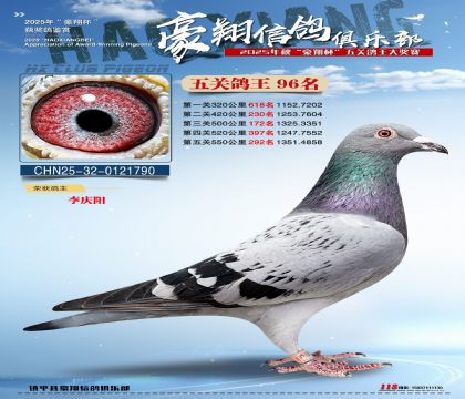 ����96��