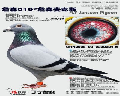 ղɭ019/ղɭ���˹