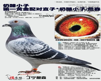 ����С�� ��һ�ƽ����ֱ��/����С��/ղ