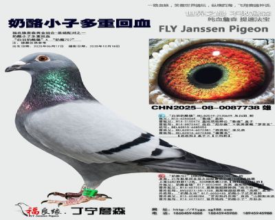 ����С�Ӷ��ػ�Ѫ