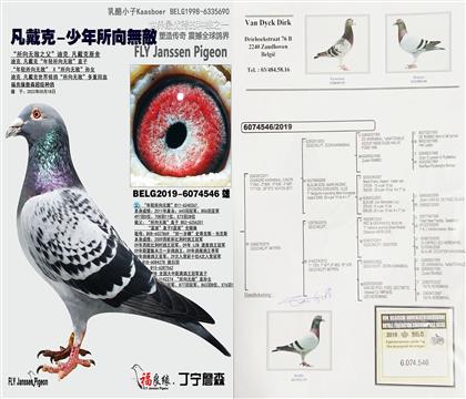 ��ĸ����