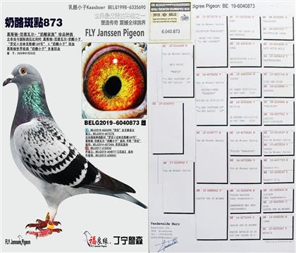 ��ĸ����