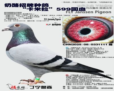 ���������ָ롰��������599��Ѫ