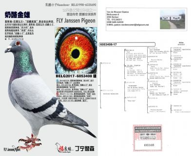 ��ĸ����