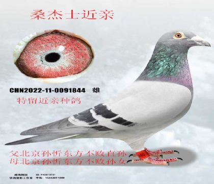 ɣ��ʿ��������ֱ��X��Ů����