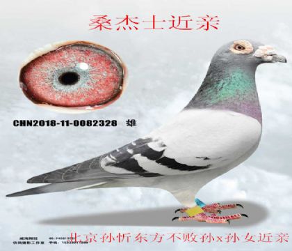 ����������x��Ů��������