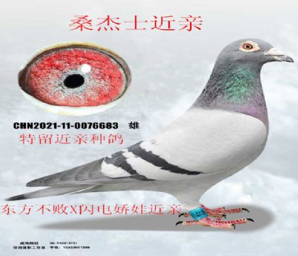 ɣ��ʿ���׶����������罿��