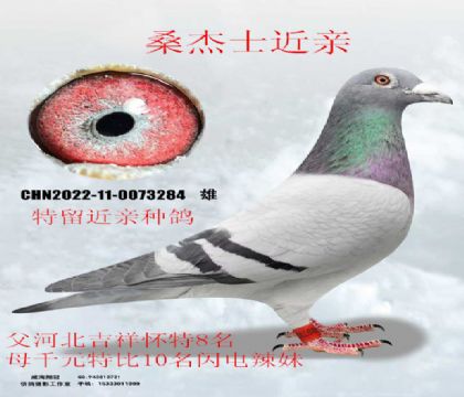 ɣ��ʿ����8��x����10����������