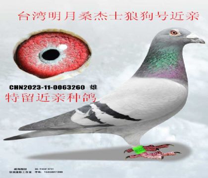 ̨������ɣ��ʿ�ǹ��Ž�������