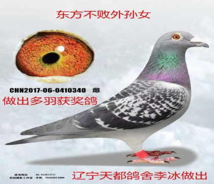 �춼�����������������������Ů