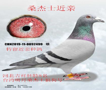 ɣ��ʿ����8��X̨������ɣ��ʿ�ǹ���