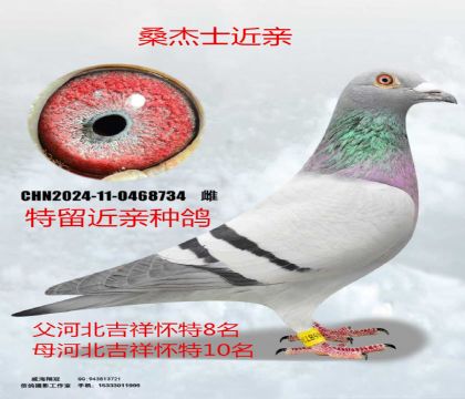 ɣ��ʿ����8��X����10��