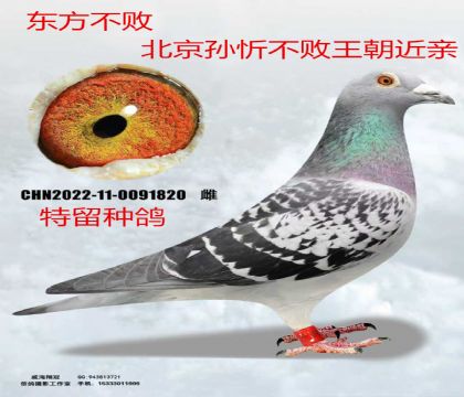 �������ܲ�����������