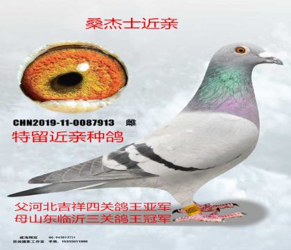 ɣ��ʿ�����Ĺ��Ǿ�X���ظ����ھ�