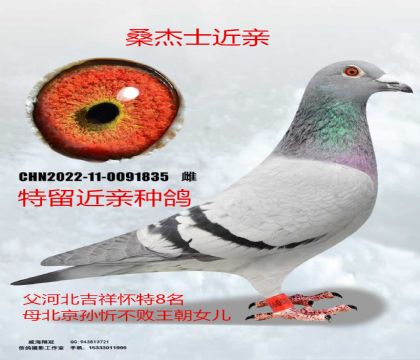 ɣ��ʿ����8��X��������Ů��