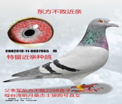 ��������2288X����ɣ��ʿ�ǹ���