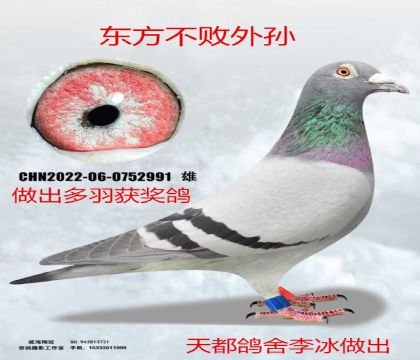 �춼�������������������