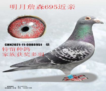 ����ղɭ695����