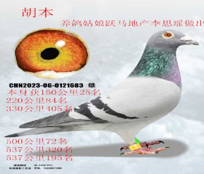 ��γɼ���Ծ���ز���������