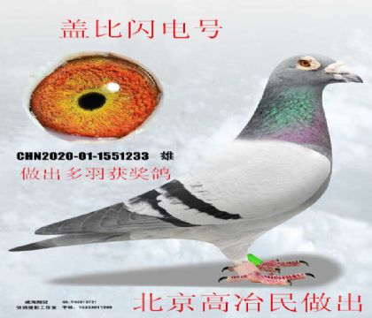 ������ұ�������Ǳ������