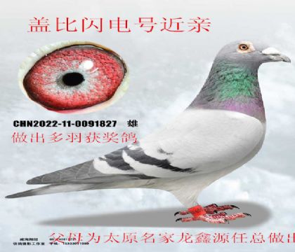 ̫ԭ��������Դ�Ǳ�����Ž���