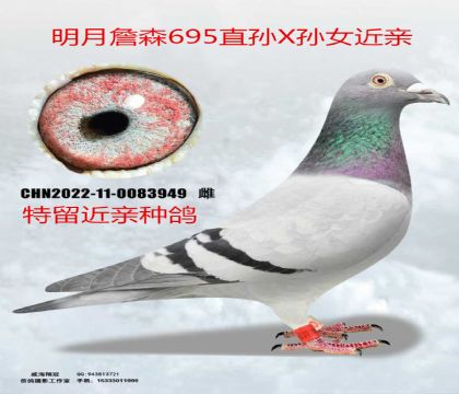 ����ղɭ695ֱ��X��Ů����