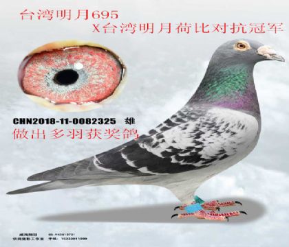 ����ղɭ695X����ղɭ�ɱȶԿ��ھ�����