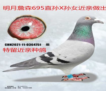 ����ղɭ695ֱ��X��Ů����