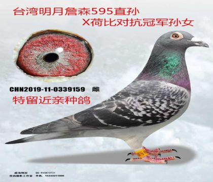 ����ղɭ695ֱ��X�ɱȶԿ��ھ���Ů