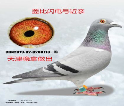 ������������ǱȽ���