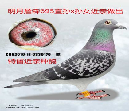 ����ղɭ685ֱ��X��Ů����