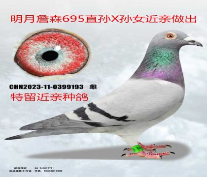 ����ղɭ695ֱ��X��Ů����