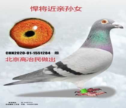 ������ұ��������������